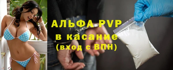 молекула духа Козельск