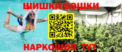 apvp Канаш