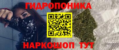 MDMA Камышлов