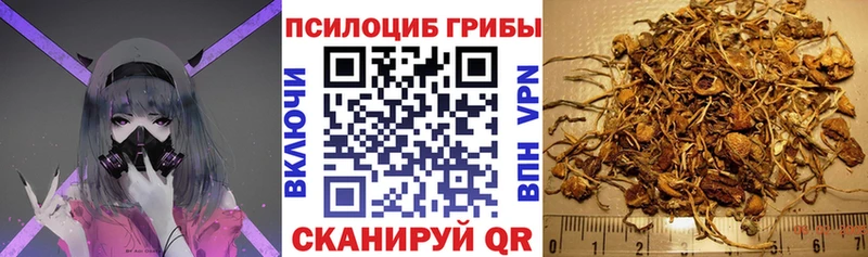 Псилоцибиновые грибы Cubensis Алапаевск