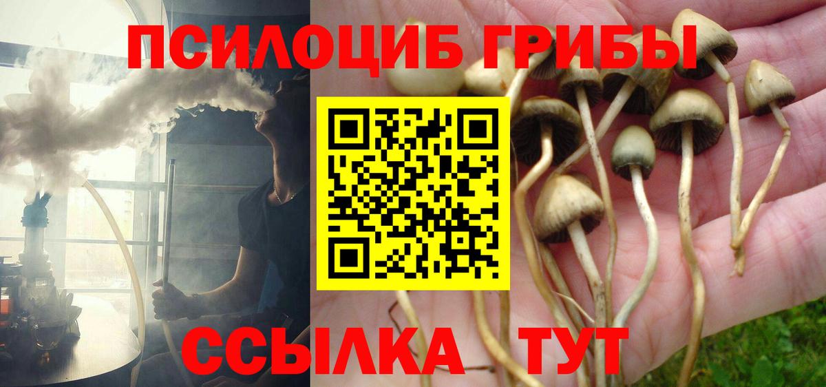 Алапаевск  Псилоцибиновые грибы Psilocybine cubensis  Вход с VPN 